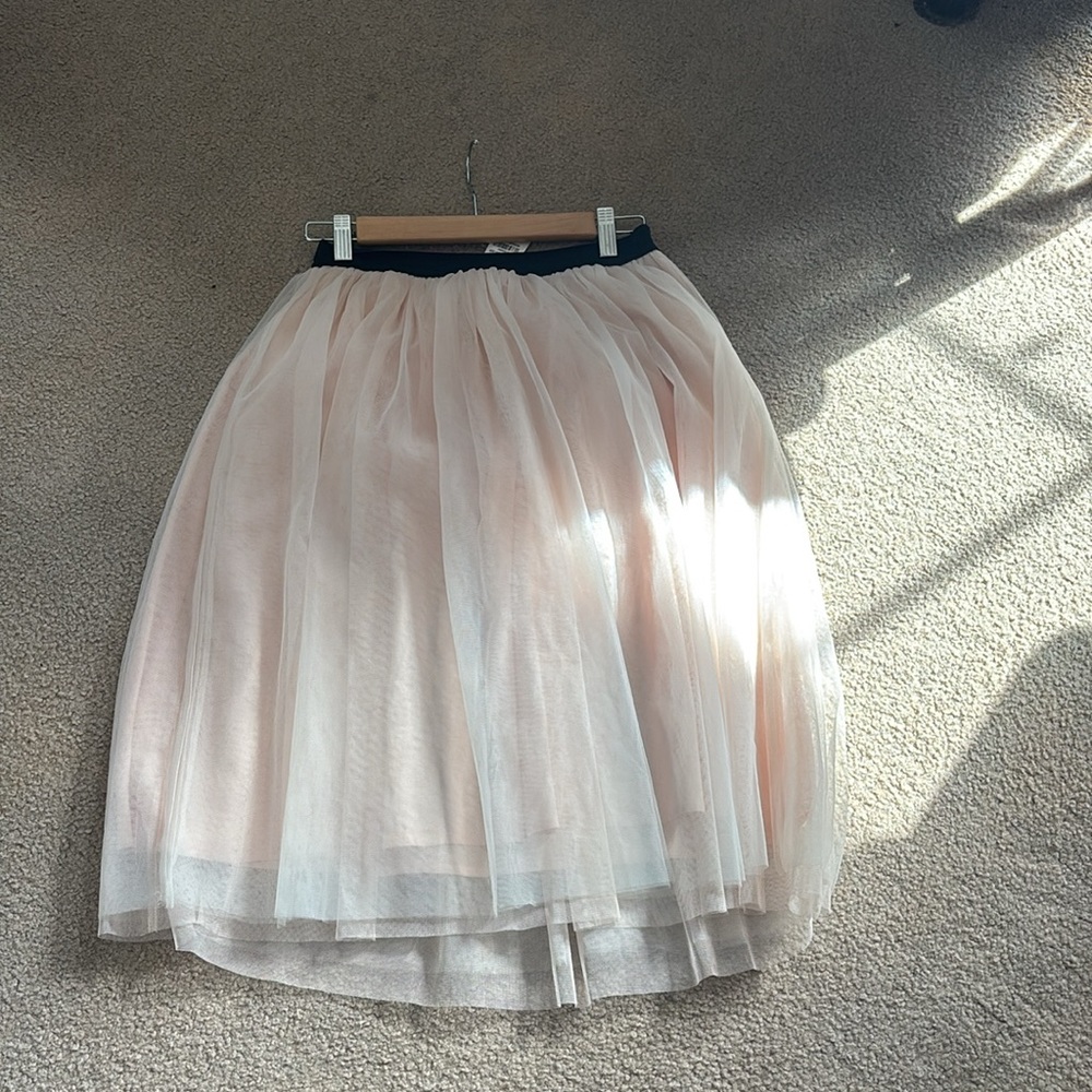 Abercrombie &Fitch Tulle Skirt - Picture 4 of 10